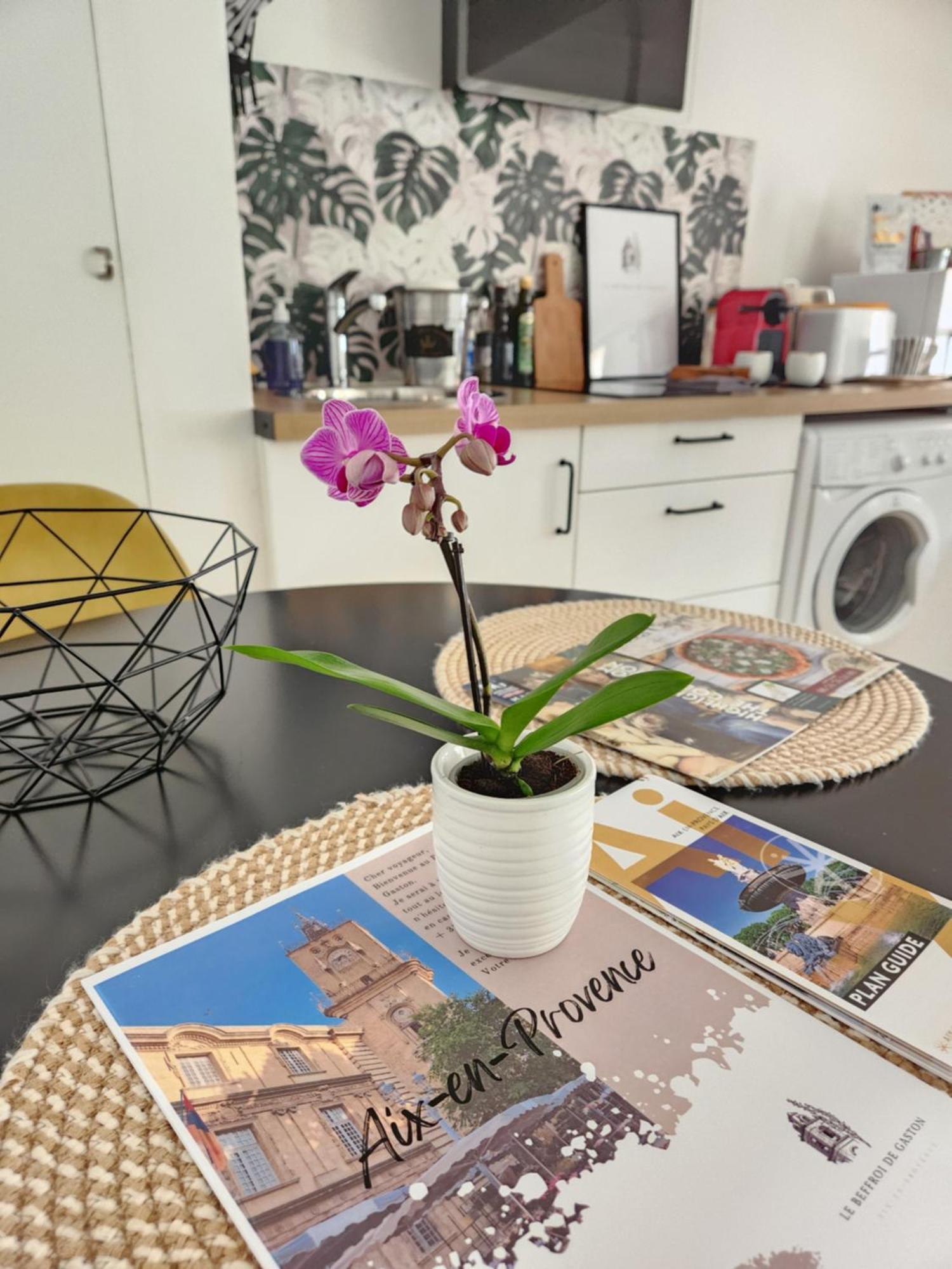 Le Beffroi De Gaston Climatise Appartement *